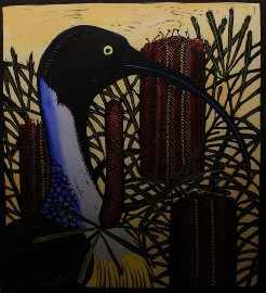 Appraisal: Van der Sluys Leslie Ibis and Swamp Banksia coloured woodcut