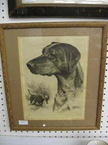 Appraisal: R H Palenske Print ''Black Labrador'' '' x ''