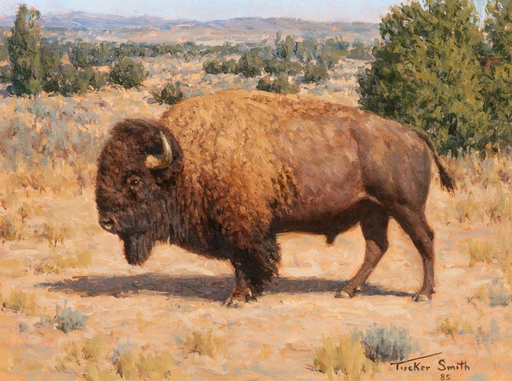 Appraisal: Tucker Smith b Plains Bison oil on board signed and