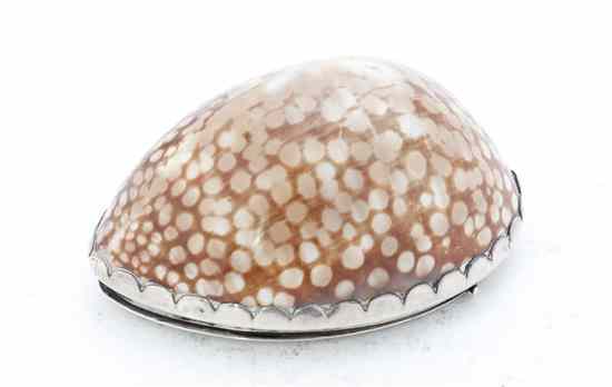 Appraisal: A Continental Silvered Metal Mounted Cowrie Shell Snuff Box having