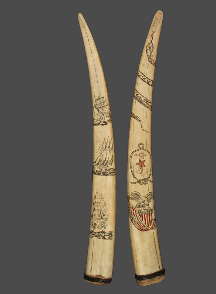 Appraisal: WALRUS TUSKS - Pair of Early Walrus Tusks one having