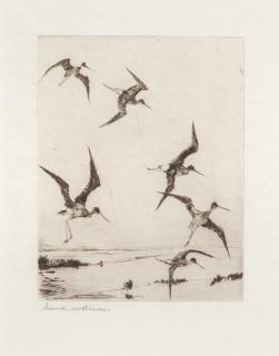 Appraisal: Frank W Benson - Summer Yellowlegs signed Frank W Benson