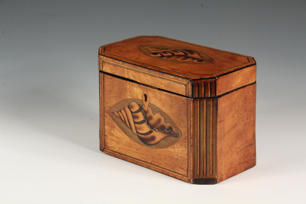 Appraisal: TEA CADDY - Conch Shell Inlaid Fruitwood Caddy with canted