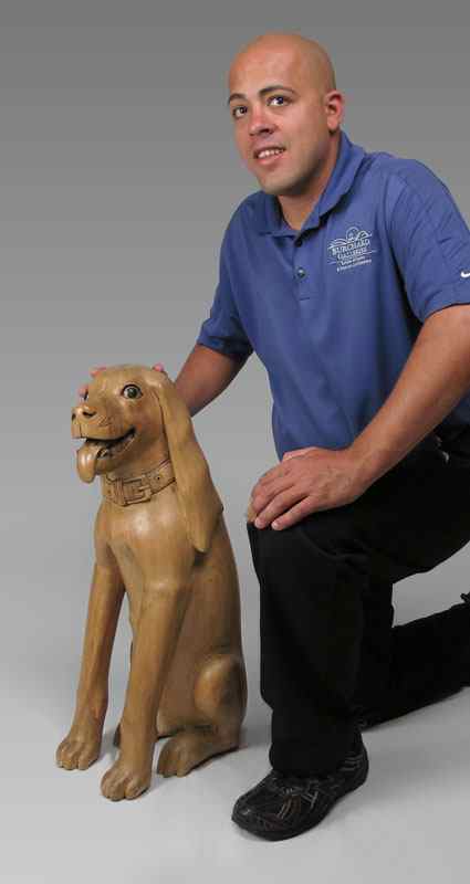 Appraisal: LIFE SIZE CARVED WOODEN LABRADOR RETRIEVER DOG Painted accents to