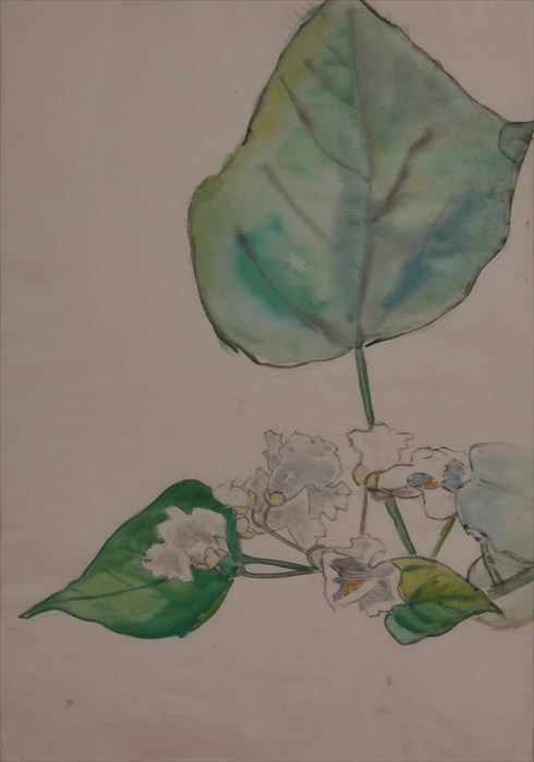 Appraisal: ADA GILMORE - UNTITLED GREEN LEAF Watercolor and pencil on