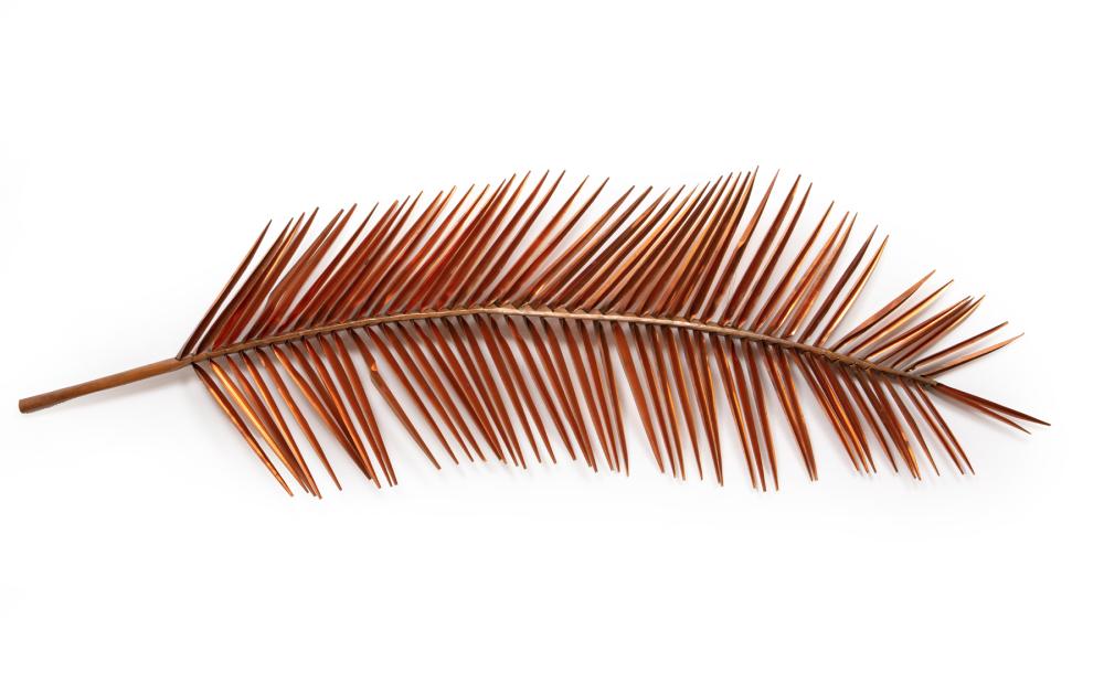 Appraisal: Mario Villa Nicaraguan New Orleans - Palm Fronds copper sculptures