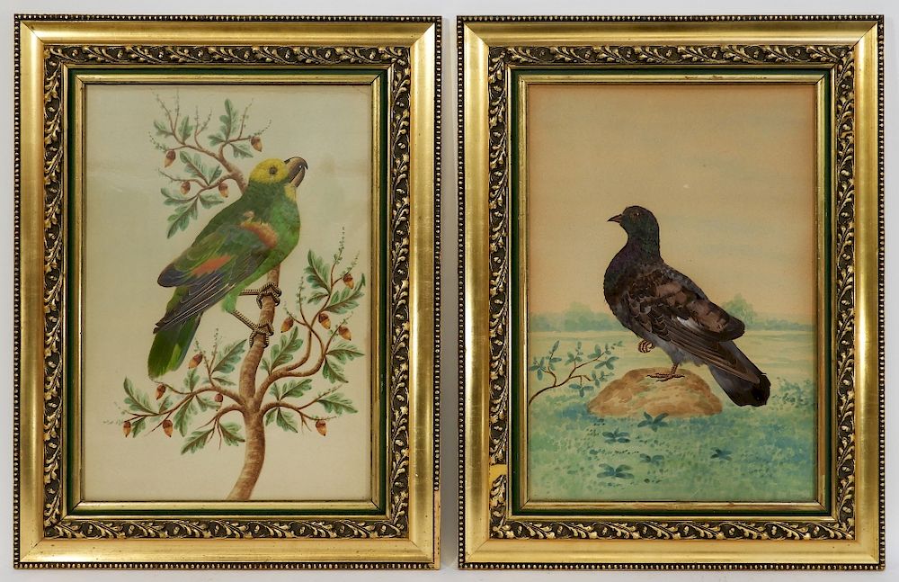 Appraisal: PR C Victorian Bird Feather Watercolor Paintings United States th