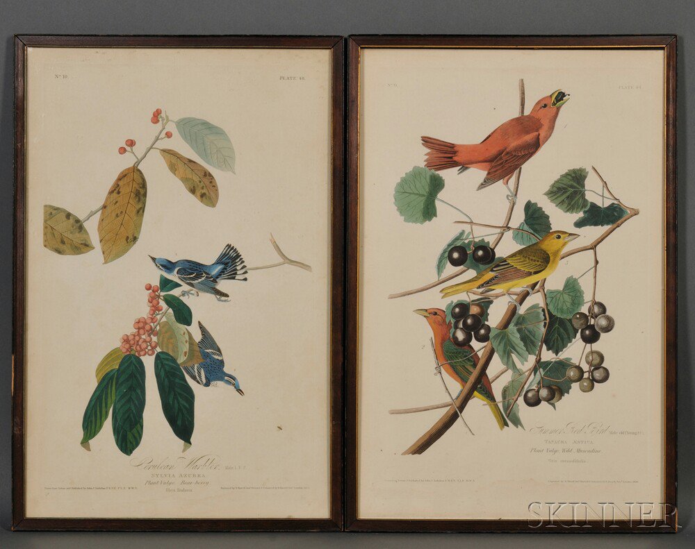 Appraisal: Audubon John James - Summer Red Bird and Cerulean Warbler