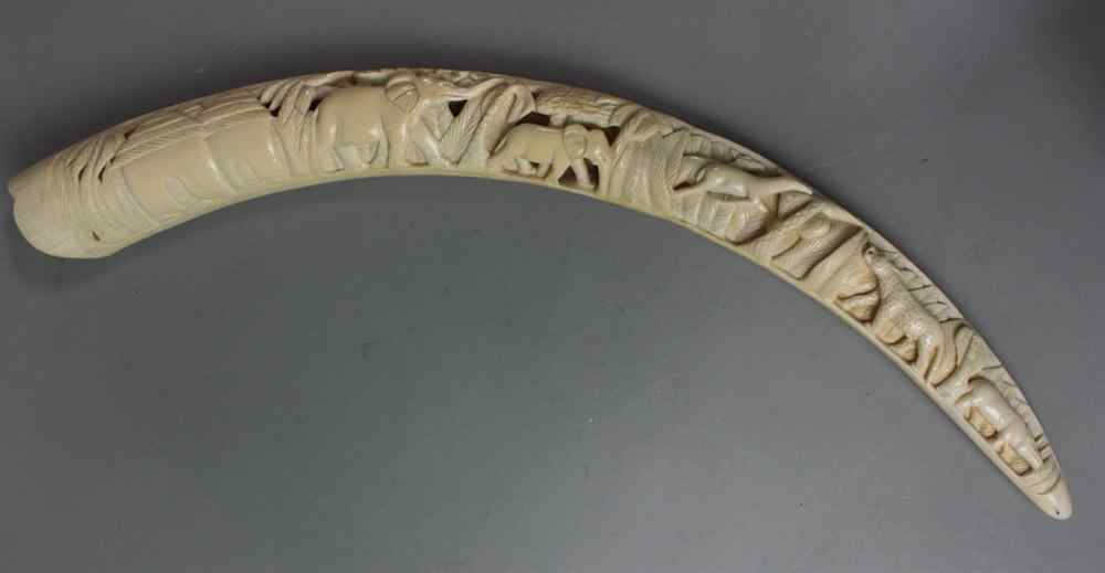 Appraisal: INDIAN IVORY CARVED TUSK the long curved horn carved as