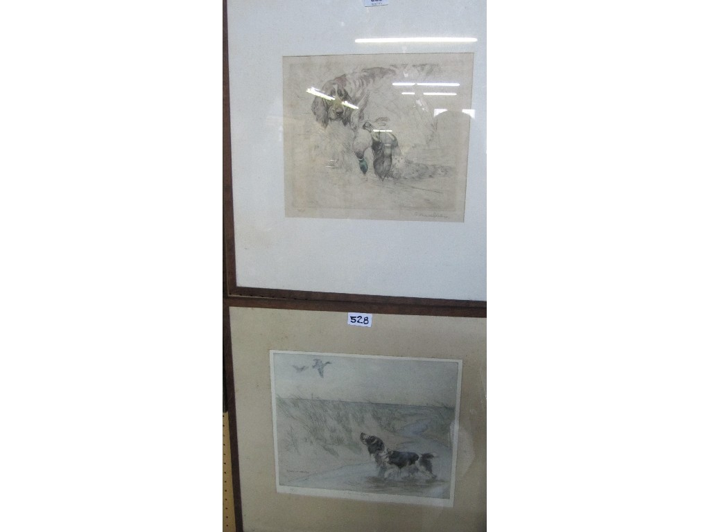 Appraisal: GEORGE VERNON STOKES Pair of tinted drypoints of gundogs both