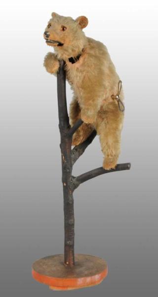 Appraisal: German Clockwork Bear in Tree Toy Description Fur covered with