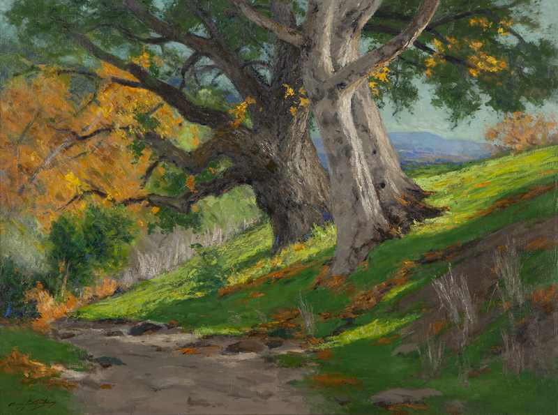 Appraisal: 'California Autumn Oak Sycamores '' Arroyo landscape oil on canvas