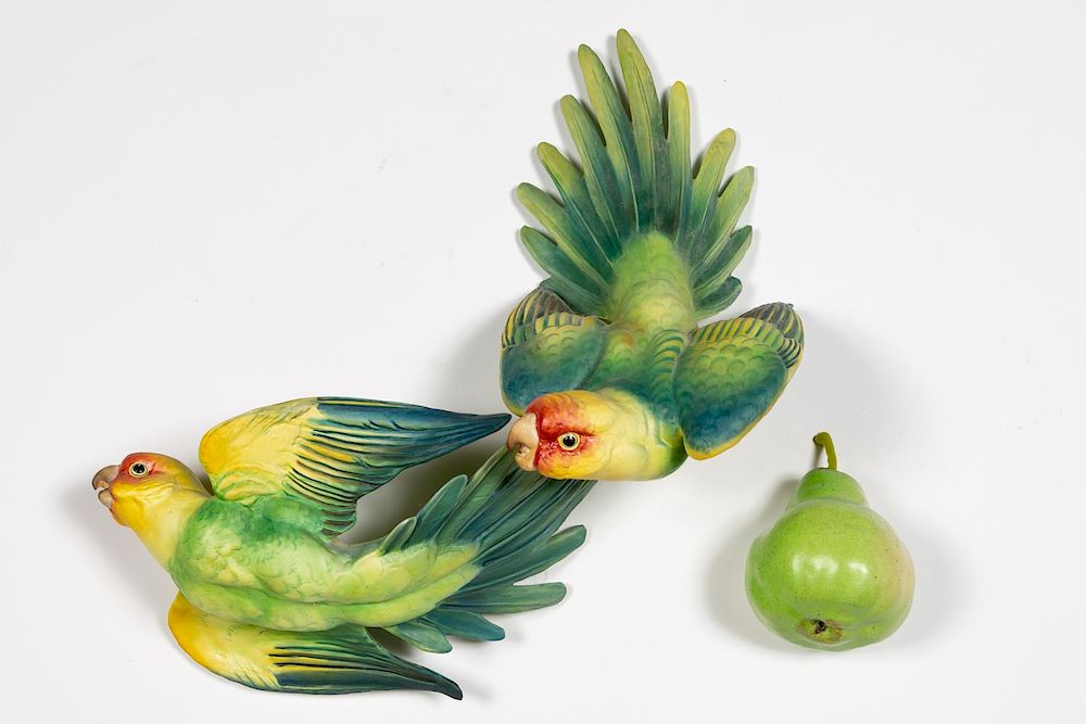 Appraisal: Dorothy Doughty Carolina Parakeet w Original Box Dorothy Doughty Italian