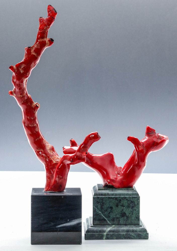 Appraisal: TWO ASIAN STICK CORAL SCULPTURES ON MARBLE BASE The two