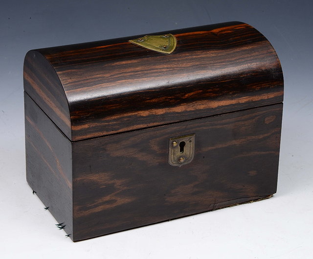 Appraisal: A VICTORIAN COROMANDEL WOOD DOME TOP TEA CADDY with twin