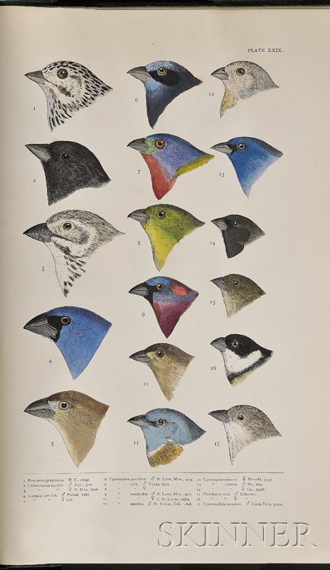 Appraisal: Ornithology Baird S F Brewer T M Ridgway R A