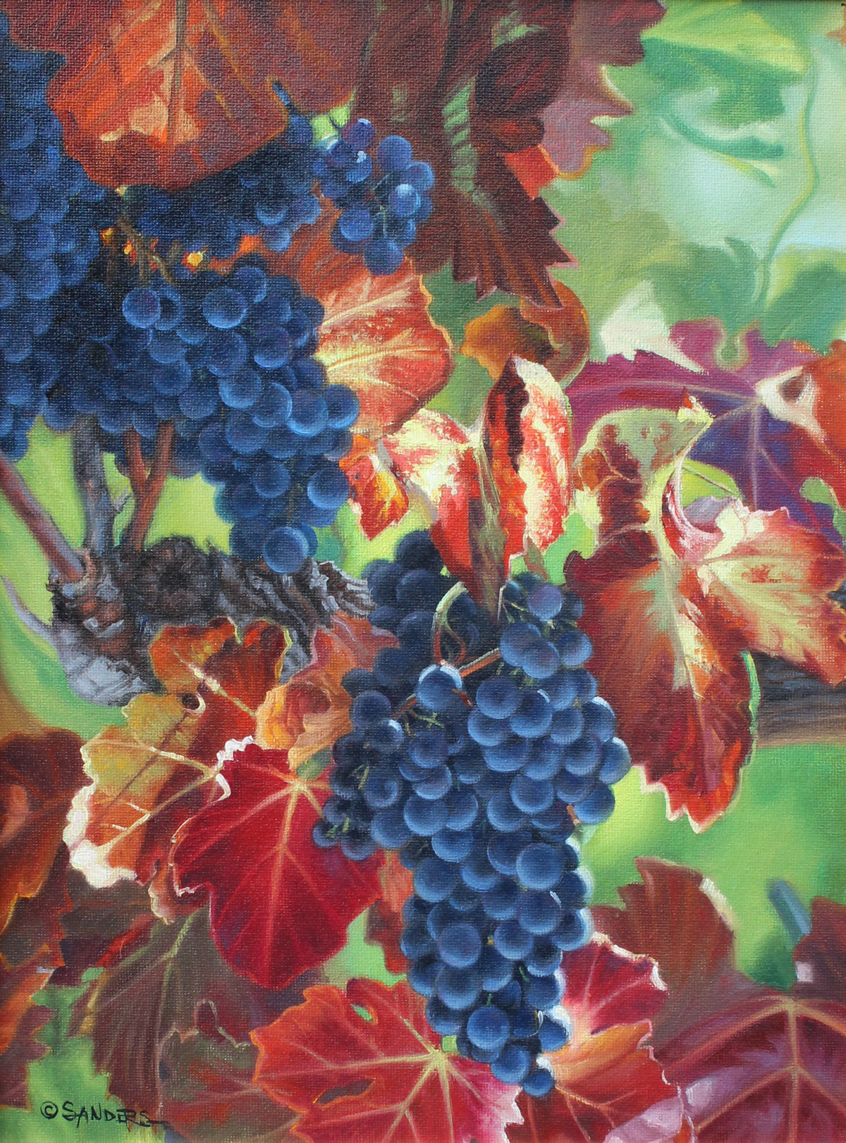 Appraisal: SANDERS Ron American - Sun Ripening Grape Clusters Oil on