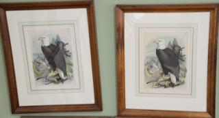 Appraisal: Set of eight crayon plate lithograph after Theodore Jasper printed