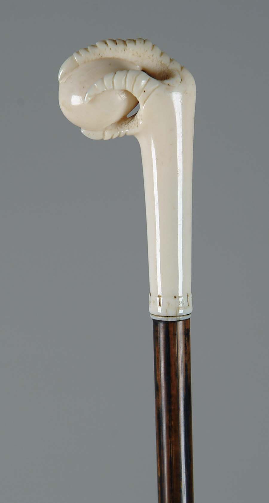 Appraisal: CANE CARVED IVORY TALON AND EGG CANE ivory carved open