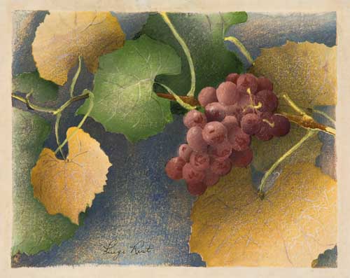 Appraisal: LUIGI RIST Grapes Color woodcut x mm x inches wide