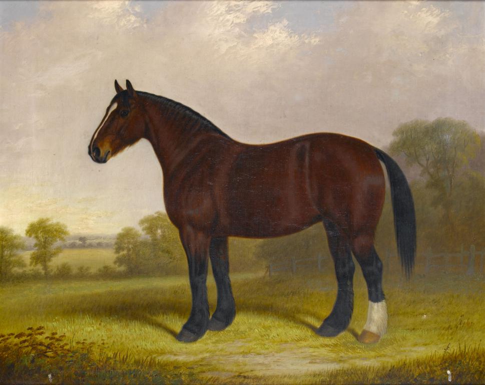 Appraisal: EDWARD BROWN OF COVENTRY - PORTRAIT OF A HORSE IN