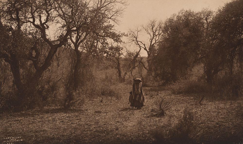 Appraisal: Edward Curtis Among the Oaks - Apache Crop Variant Edward