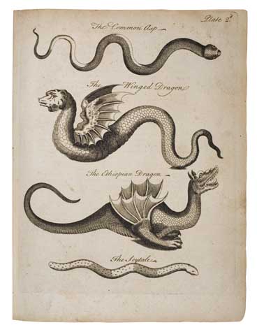 Appraisal: OWEN CHARLES An Essay towards a Natural History of Serpents