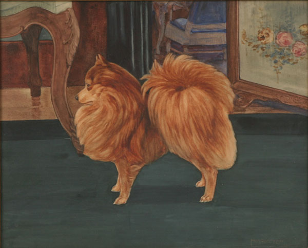 Appraisal: Enno Meyer American - Normacot Goldfinch prize pomeranian dog portrait