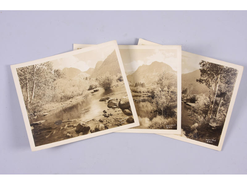 Appraisal: Three Stephen Willard Landscape Prints signed and numbered and in