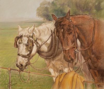 Appraisal: Franco Matania - Two Horses one wearing blinkers signed pastel