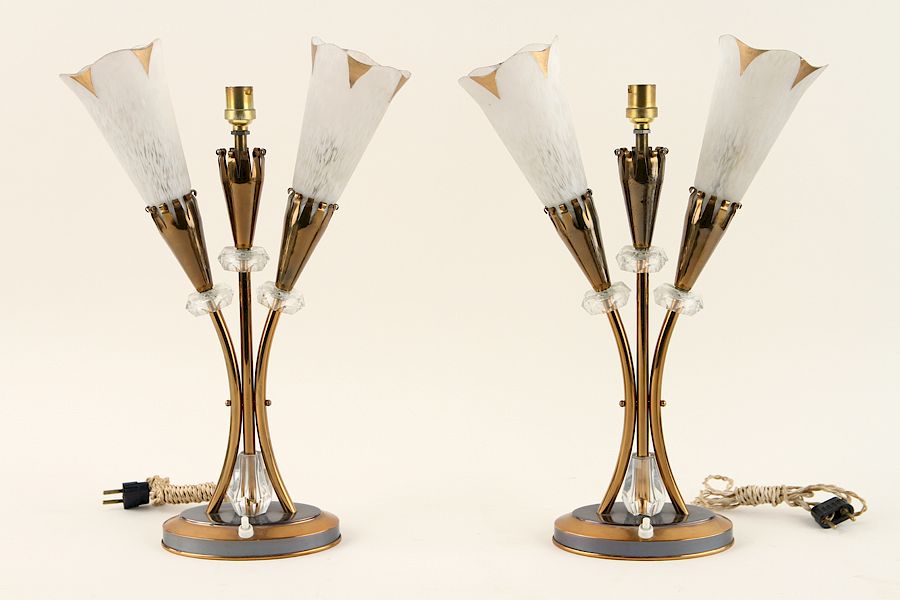 Appraisal: PAIR FRENCH BRASS FLORAL FORM TABLE LAMPS C A pair