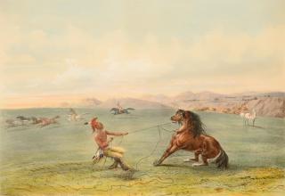 Appraisal: George Catlin - Catching the Wild Horse Plate lithograph on