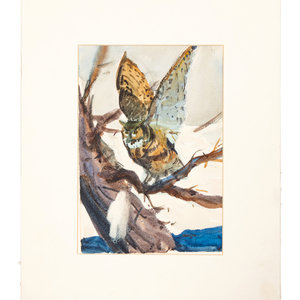 Appraisal: Ogden Pleissner American - The Great Horned Owl Watercolor signed