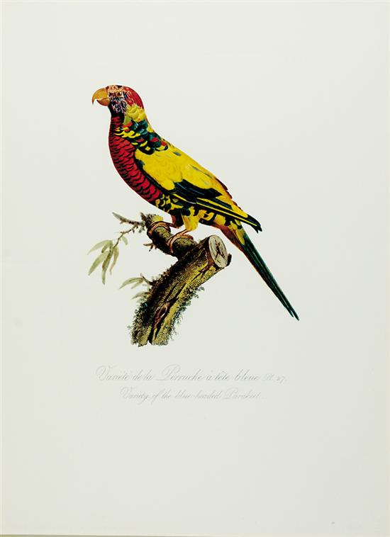 Appraisal: Jacques Barraban after French - FOUR PARROTS from Histoire Naturelle