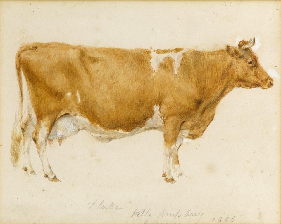 Appraisal: ENGLISH SCHOOL LATE TH CENTURY STUDIES OF PRIZE CATTLE eight