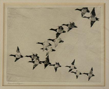 Appraisal: BENSON FRANK W FLOCK OF CANVASBACKS Etching x in Signed