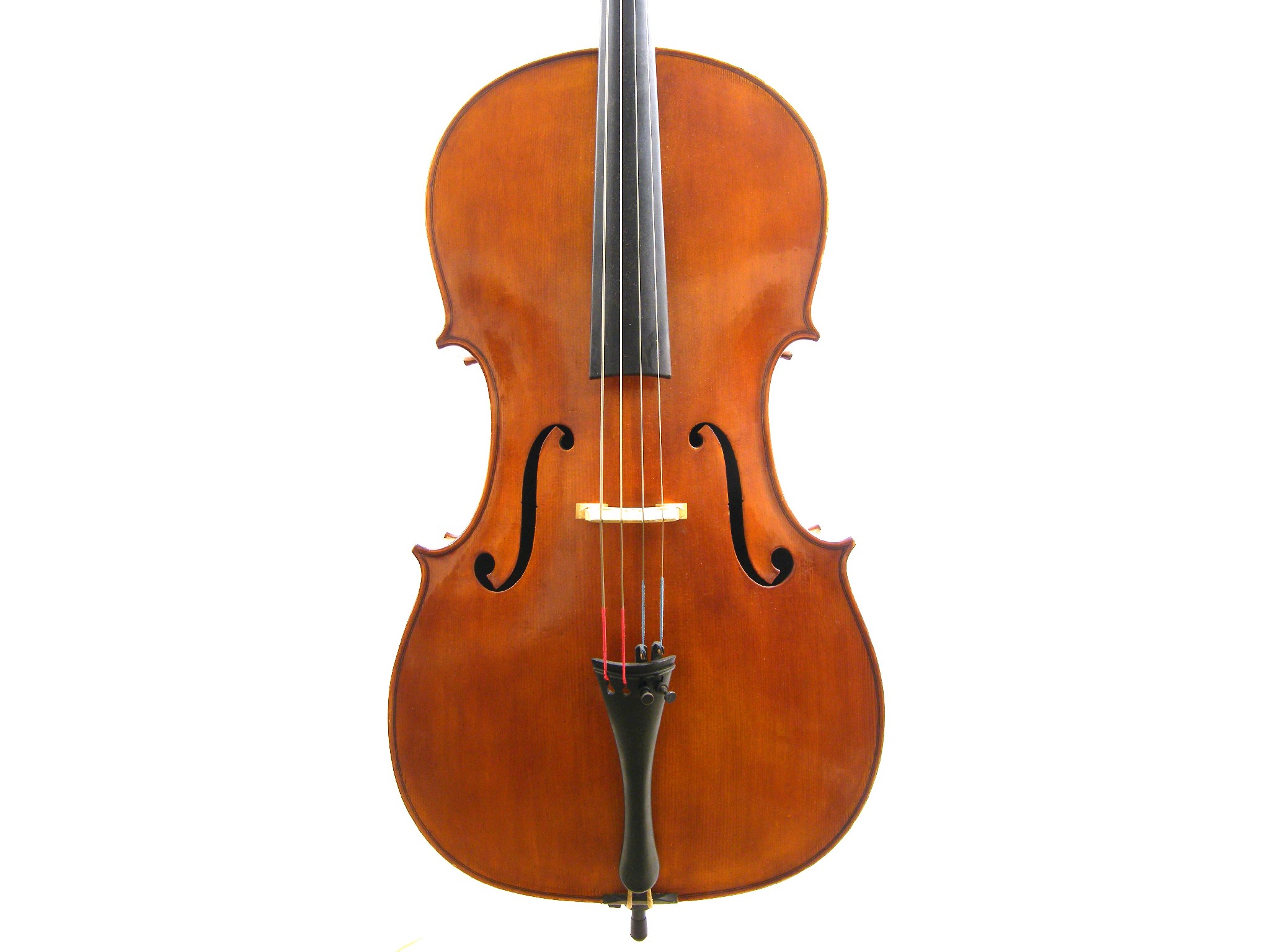 Appraisal: Violoncello labelled Ansaldo Poggi Anno the two piece back of