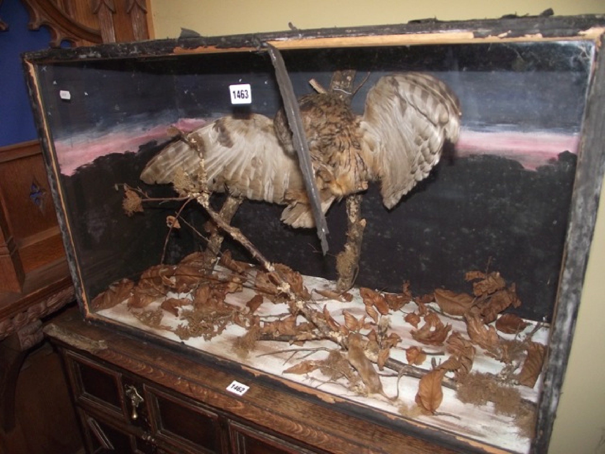 Appraisal: A cabinet containing a stuffed and mounted tawny owl in