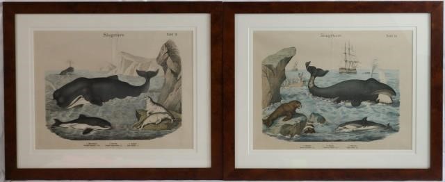 Appraisal: TWO FRAMED TH CENTURY COLORED ENGRAVINGSDEPICTING WHALES AND WHALING ONE