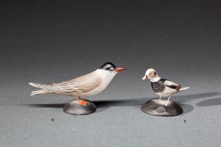 Appraisal: Miniature Wilson's or Common Tern A Elmer Crowell - East