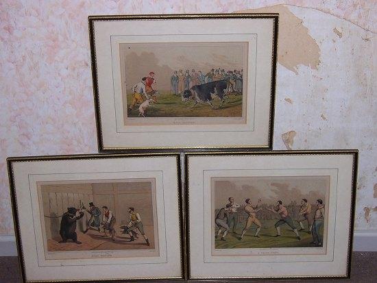 Appraisal: Three framed and glazed coloured engravings Bear Baiting Bull Baiting