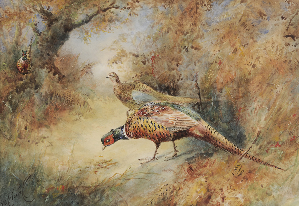 Appraisal: William E Powell British - Pheasants in a Woodland Landscape