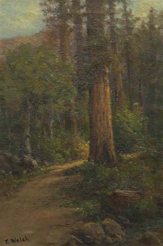 Appraisal: T Welch th century Forest Path oil on canvas signed