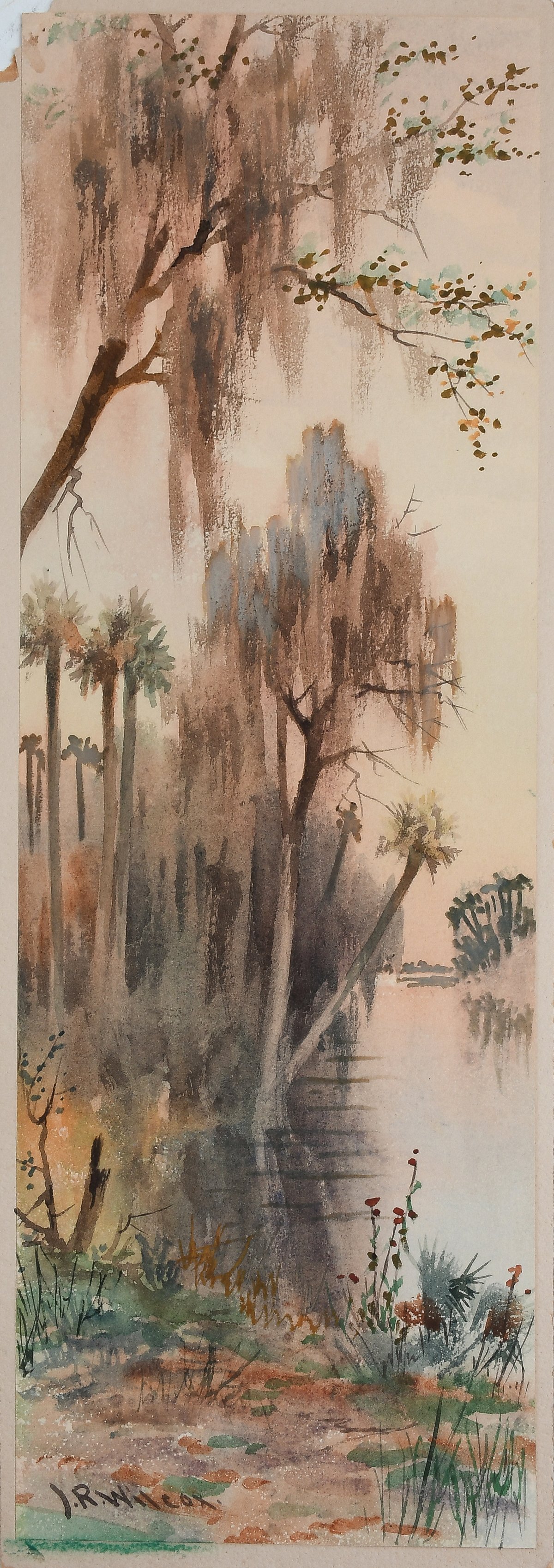 Appraisal: WILCOX James Ralph American Canadian - Florida Marsh Scene Watercolor