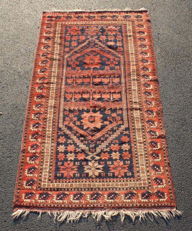 Appraisal: Shirvan Carpet x