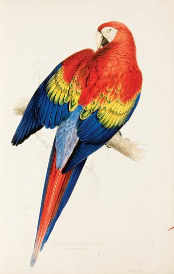 Appraisal: LEAR Edward - Illustrations of the Family of Psittacidae or