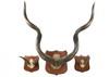 Appraisal: ANTLER MOUNTS - Lot of three antler mounts set on