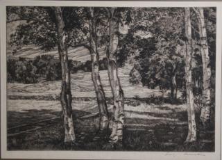 Appraisal: Luigi Luicioni VT - Five birches engraving x signed lower