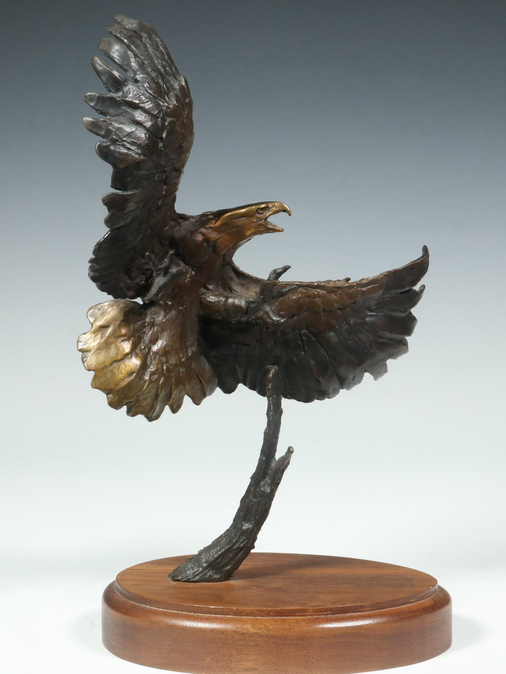 Appraisal: JONATHAN BRONSON US S Eagle in Flight bronze sculpture signed