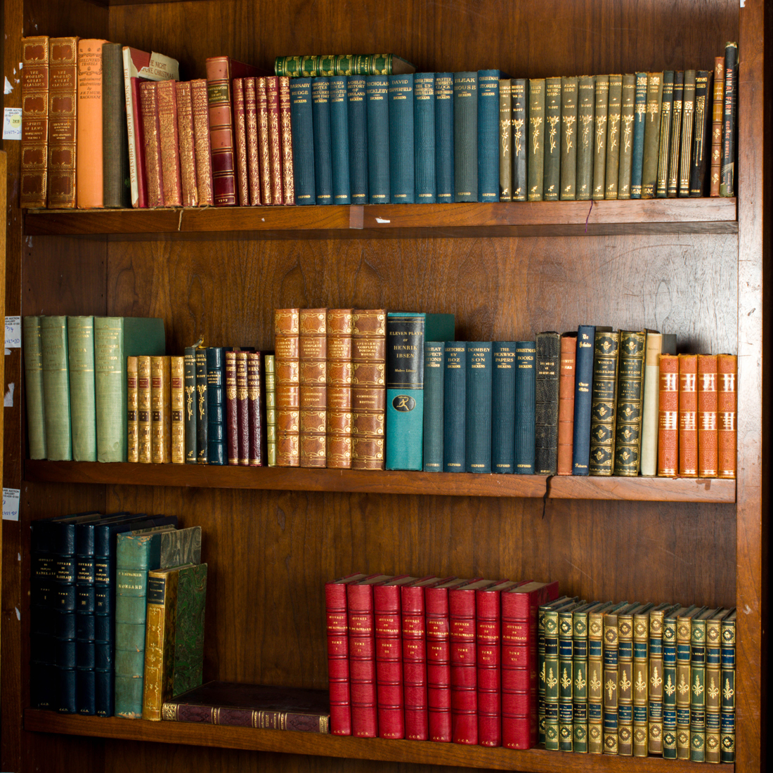 Appraisal: THREE SHELVES OF NOVELS Three shelves of novels including Animal